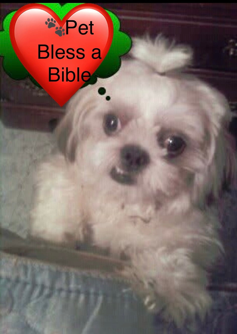 🐾 Pet Bless-a-Bible™ — Honoring the Companions Who Sail With Us